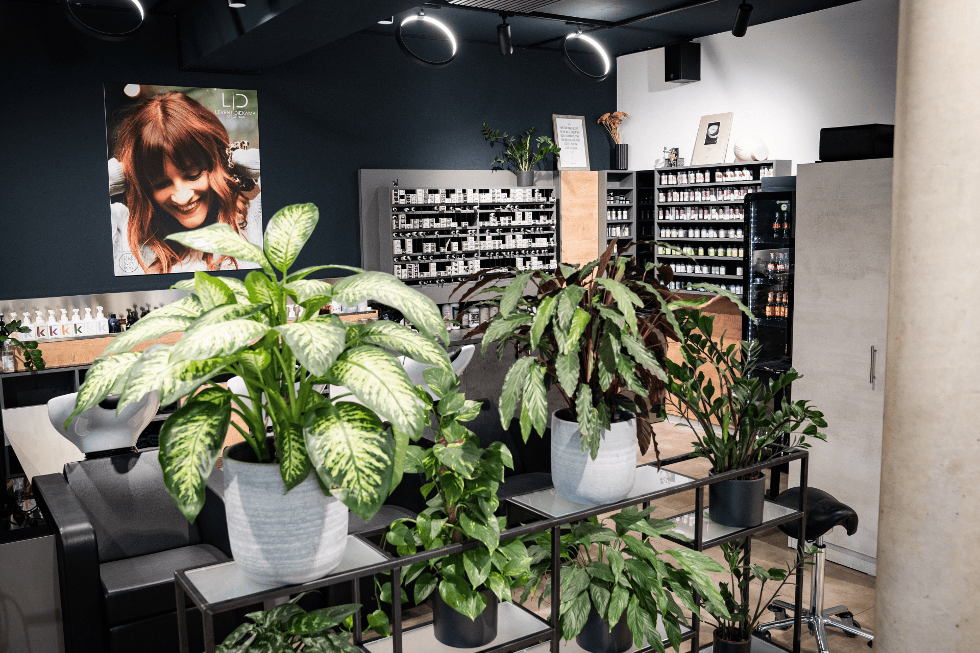 Pflanzen im Friseursalon